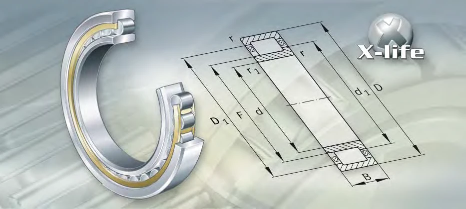 NU2044-E-M1-C3  bearing drawing