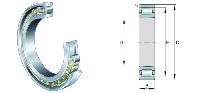N1030-K-M1-SP bearing N1030-K-M1-SP bearing